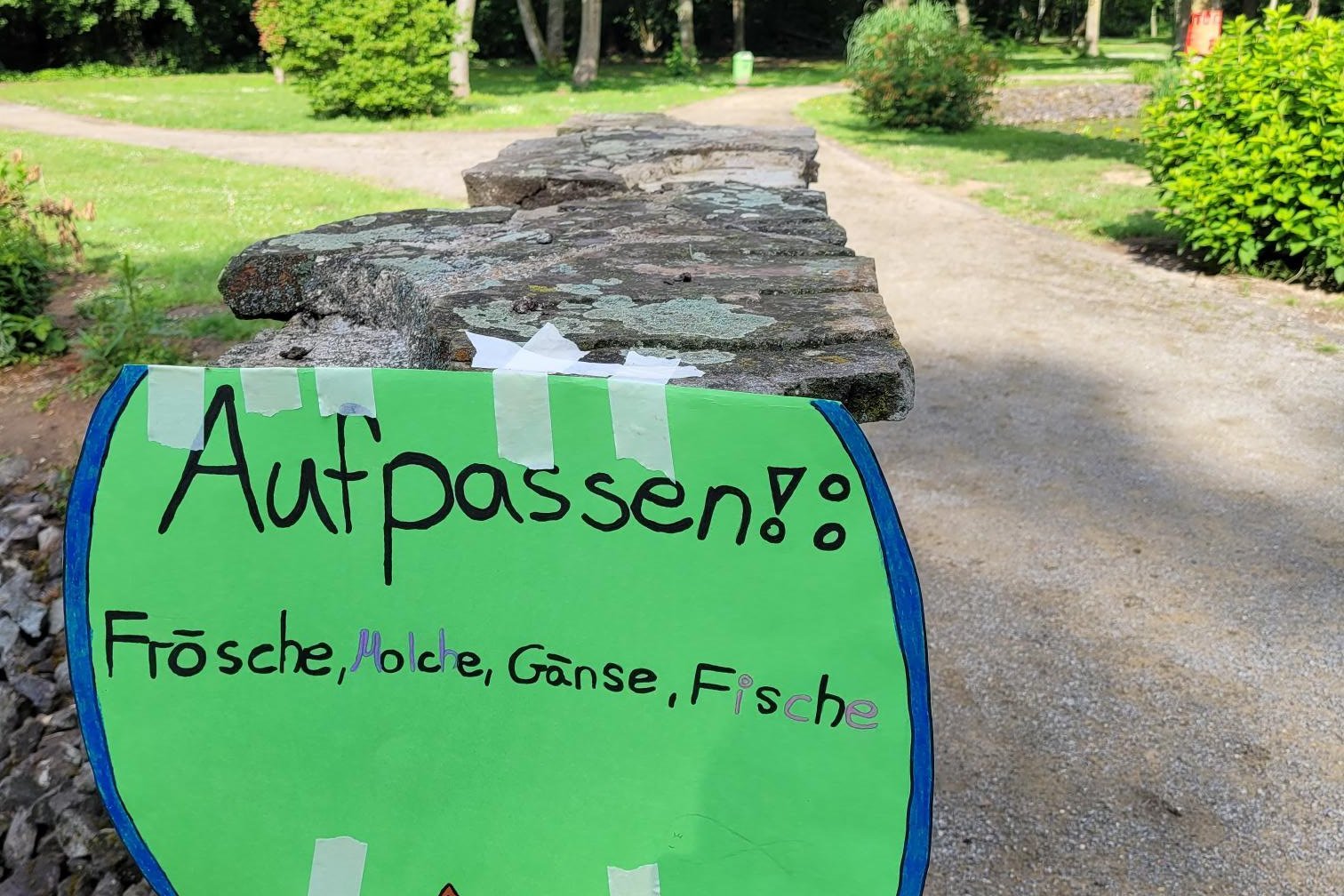 Tag des Buches