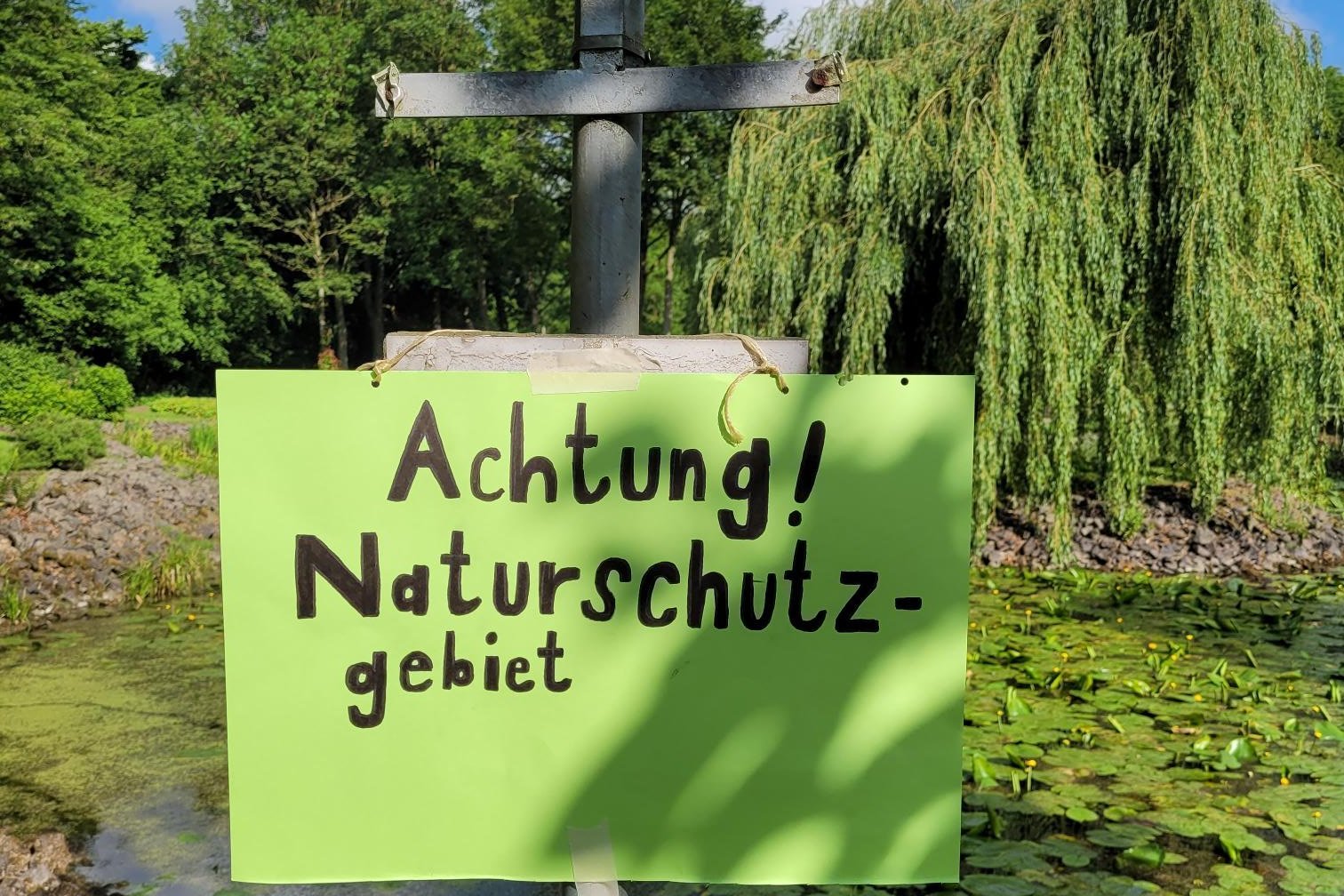Tag des Buches